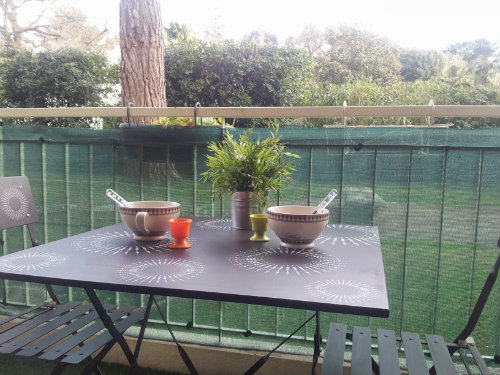 Appartement  Cannes pour  4 •   animaux accepts (chien, chat...) 