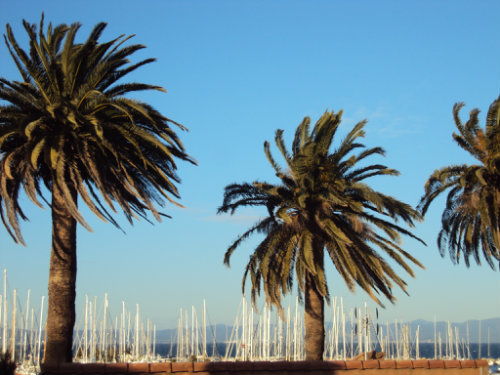 Estudio en le de porquerolles para  2 •   con terraza 