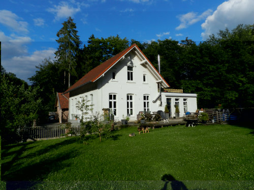 Suddendorf -    huisdieren toegestaan (hond, kat... ) 