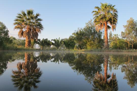 Tavira -    Aussicht aufs Meer 