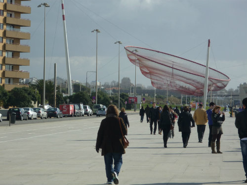 Matosinhos -    animaux accepts (chien, chat...) 