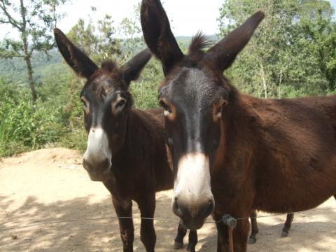 Alojarse en reserva de bu - Bungalow en reserva de burros