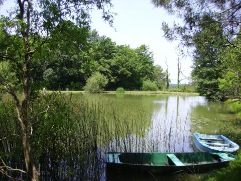 Gite in Bergerac - Vakantie verhuur advertentie no 41088 Foto no 8