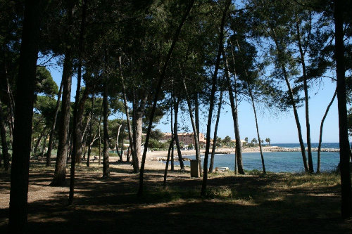 Studio in Saint Mandrier sur mer - Vacation, holiday rental ad # 41178 Picture #1 thumbnail