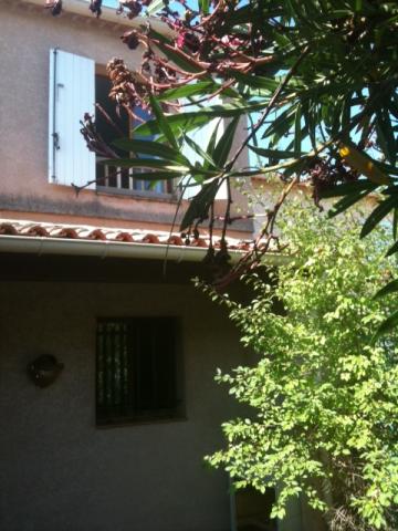 House in Hyeres 83400 - Vacation, holiday rental ad # 41467 Picture #2