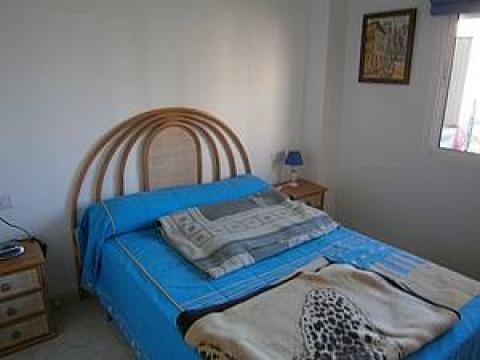 Appartement in Torrevieja - Vakantie verhuur advertentie no 41777 Foto no 4 thumbnail