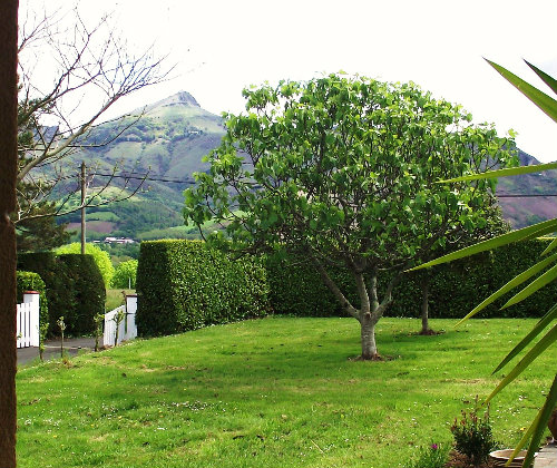 Estudio en Urrugne para  4 •   con terraza 