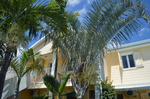 Casa en Saint pierre para  4 •   con piscina privada 