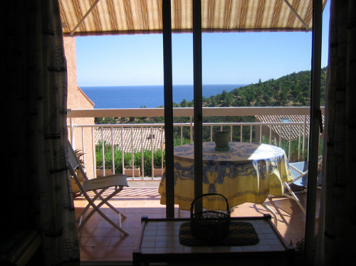 Flat in Cavalaire sur mer - Vacation, holiday rental ad # 41879 Picture #1 thumbnail