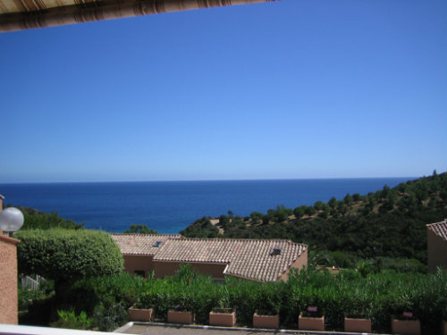 Flat in Cavalaire sur mer - Vacation, holiday rental ad # 41879 Picture #2 thumbnail