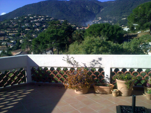 Appartement à Cavalaire sur mer - Location vacances, location saisonnière n°42000 Photo n°8 thumbnail