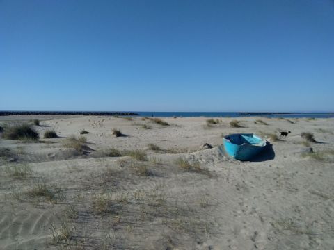 Casa en Agde - Detalles sobre el alquiler n42273 Foto n16