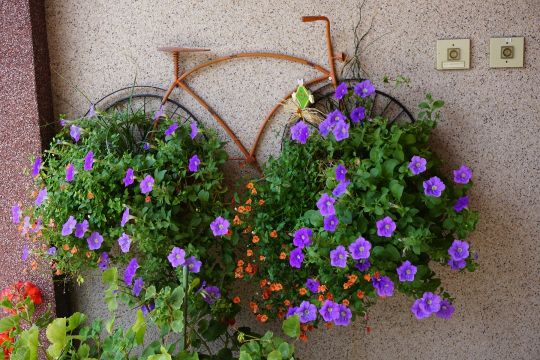 Casa rural en Epfig - Detalles sobre el alquiler n42744 Foto n15