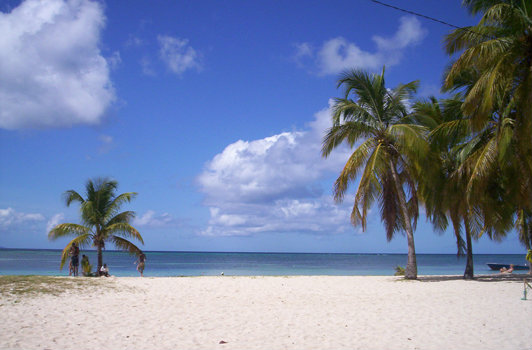 House in Capesterre de marie galante for   8 •   with terrace 