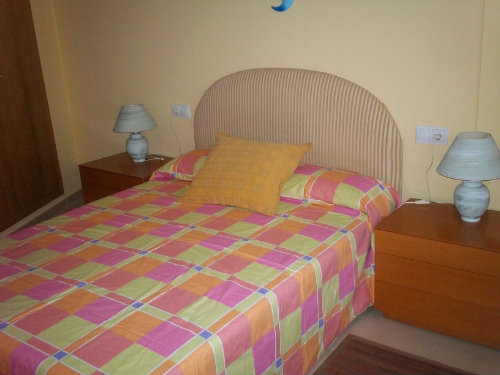 Flat in L'ampolla for   4 •   animals accepted (dog, pet...) 