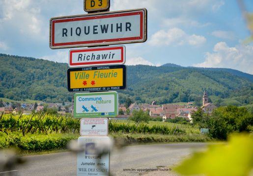 Gite in Riquewihr - Vakantie verhuur advertentie no 43266 Foto no 18