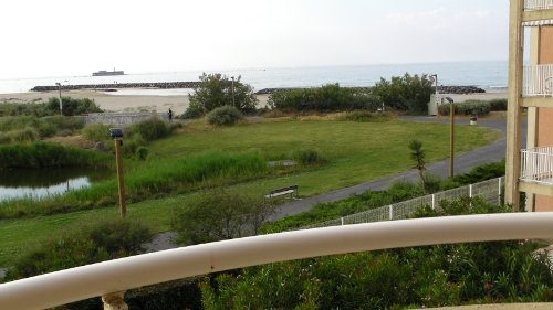 Flat in Cap d'Agde - Vacation, holiday rental ad # 43301 Picture #6