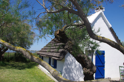 Casa en Les saintes maries de la mer para  6 •   vista al mar 