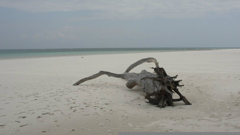 Mombasa -    Aussicht aufs Meer 
