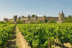 Carcassonne -    1 chambre 