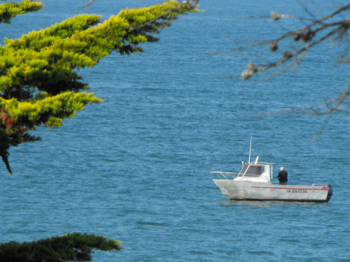 Sarzeau st jacques -    vista al mar 