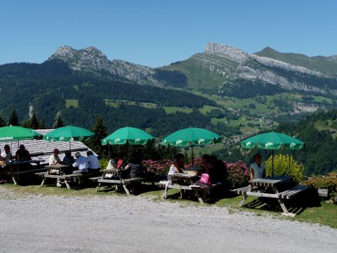 Chalet in Le grand bornand - Anzeige N  44258 Foto N13