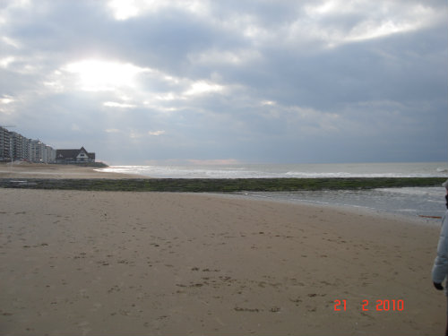 Flat in Middelkerke - Vacation, holiday rental ad # 44433 Picture #11