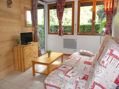 Appartement in Chamonix mont blanc voor  4 •   1 slaapkamer 