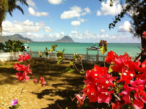 Bungalow  Rivire-noire pour  6 •   jardin 