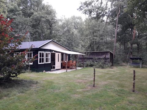 Bungalow in Vierhouten - Vacation, holiday rental ad # 44668 Picture #1