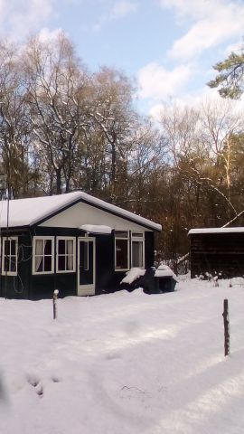 Bungalow in Vierhouten - Vacation, holiday rental ad # 44668 Picture #3