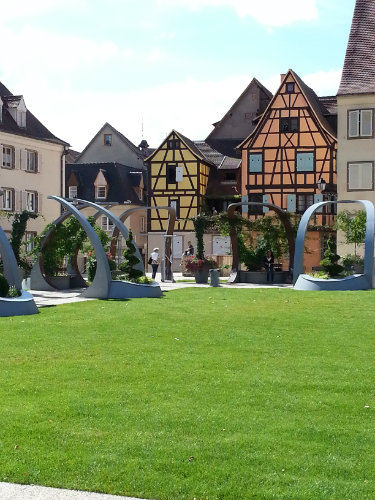 Gite in Colmar - Vakantie verhuur advertentie no 44781 Foto no 18