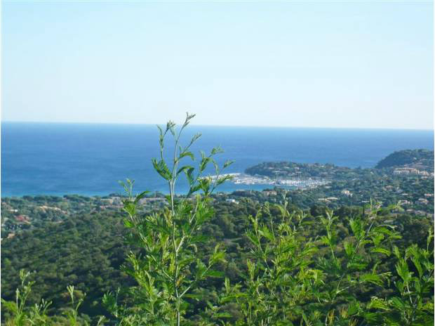 House in Cavalaire sur mer - Vacation, holiday rental ad # 44856 Picture #1