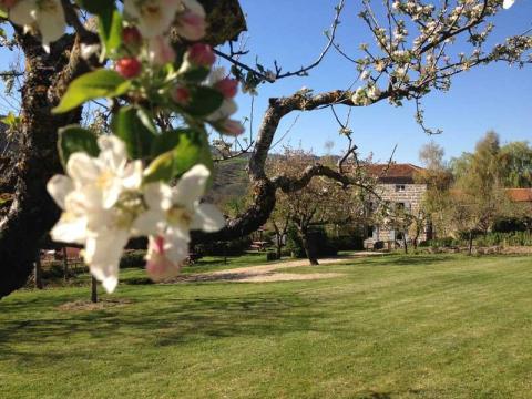 Les Jardins d'Anna - Chambre d'htes - Le Colombier Chambre familiale 