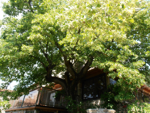 Gite  St symphorien de mahun pour  14 •   avec terrasse 