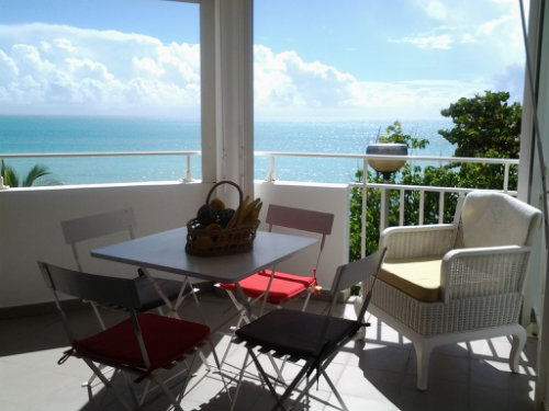 Studio in Le Gosier - Vacation, holiday rental ad # 45941 Picture #4