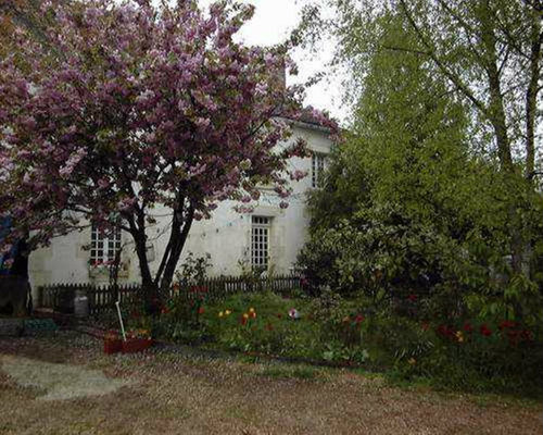 Haus in Treigny fr  12 •   mit Terrasse 