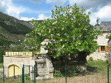 Sainte enimie -    animaux accepts (chien, chat...) 