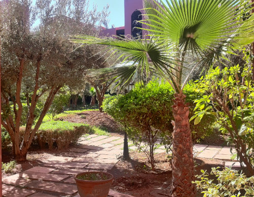 Appartement à Marrakech - Location vacances, location saisonnière n°46174 Photo n°5 thumbnail
