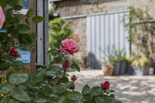 Maison  Faye d'Anjou - Location vacances, location saisonnire n46309 Photo n11