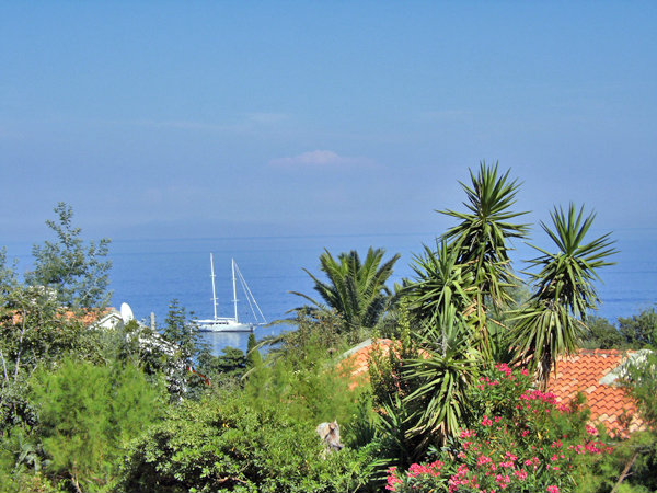 Appartement in Brando voor  6 •   uitzicht op zee 