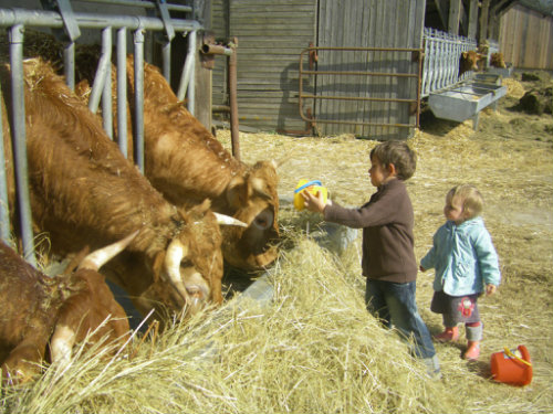 Boerderij in Tournon-saint-martin voor  6 •   met terras 