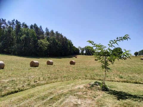 Casa rural en Castels - Detalles sobre el alquiler n46819 Foto n11