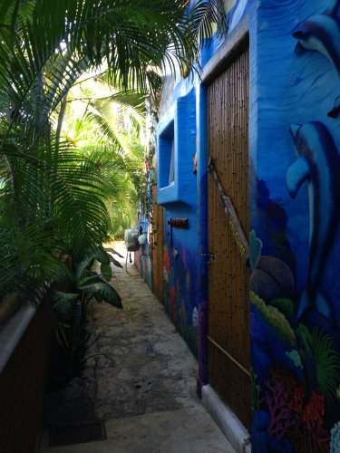 Maison à Playa del Carmen - Location vacances, location saisonnière n°46885 Photo n°15
