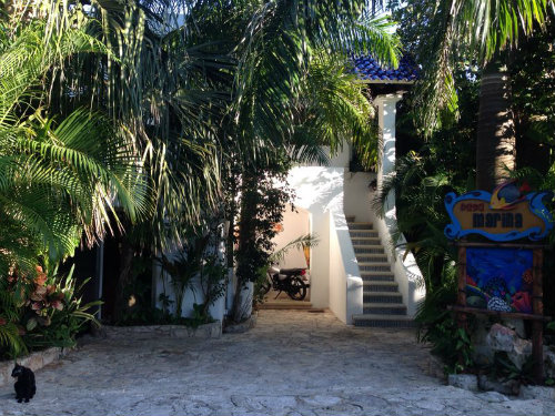 Maison à Playa del Carmen - Location vacances, location saisonnière n°46885 Photo n°19