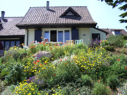Huis in Audinghen - Vakantie verhuur advertentie no 47045 Foto no 1