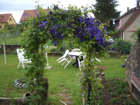 Gite Obermorschwihr - 3 Personen - Ferienwohnung