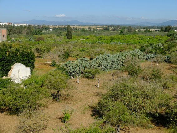 Maison  Hammamet pour  3 •   1 chambre 