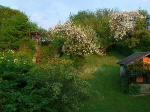 Maison  Oignies-en-thirache pour  12 •   avec terrasse 