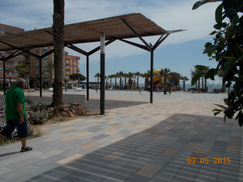 Flat in Torrevieja - La Mata - Vacation, holiday rental ad # 48354 Picture #17 thumbnail